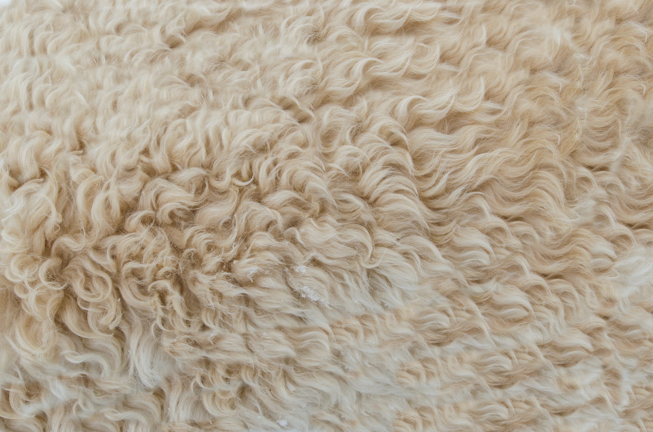 lana de oveja natural 100%